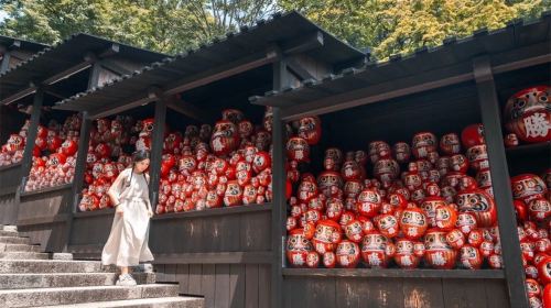 Maple leaf viewing season: 1-day tour to Miyama thatched-roof village + Katsuo-ji + Arashiyama bamboo forest path + Nonomiya Shrine Day Tours