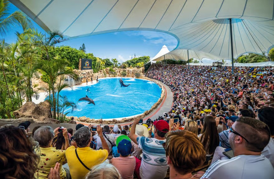 Tenerife: Loro Parque Entry Ticket - HolidaySG