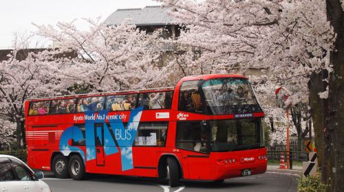 Kyoto, Japan|Kyoto Sky Hop-on Hop-off Sightseeing Bus