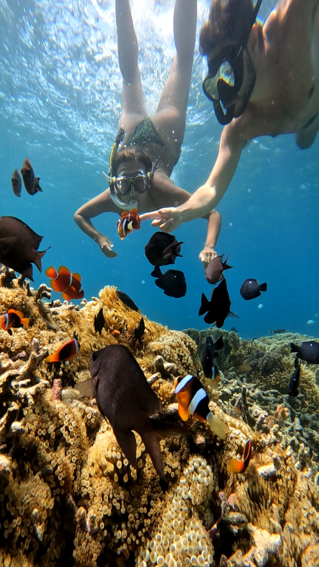 Indonesia - Unlimited 4G/5G Data eSIM - HolidaySG