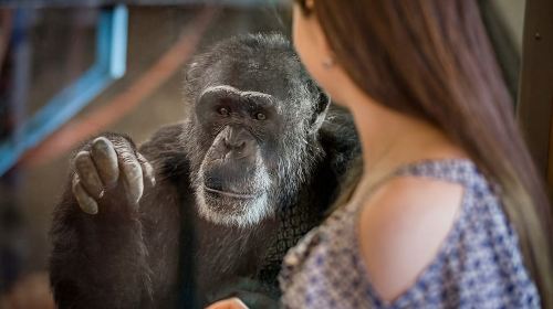 Monarto Safari Park: General Admission Tickets Day Tours