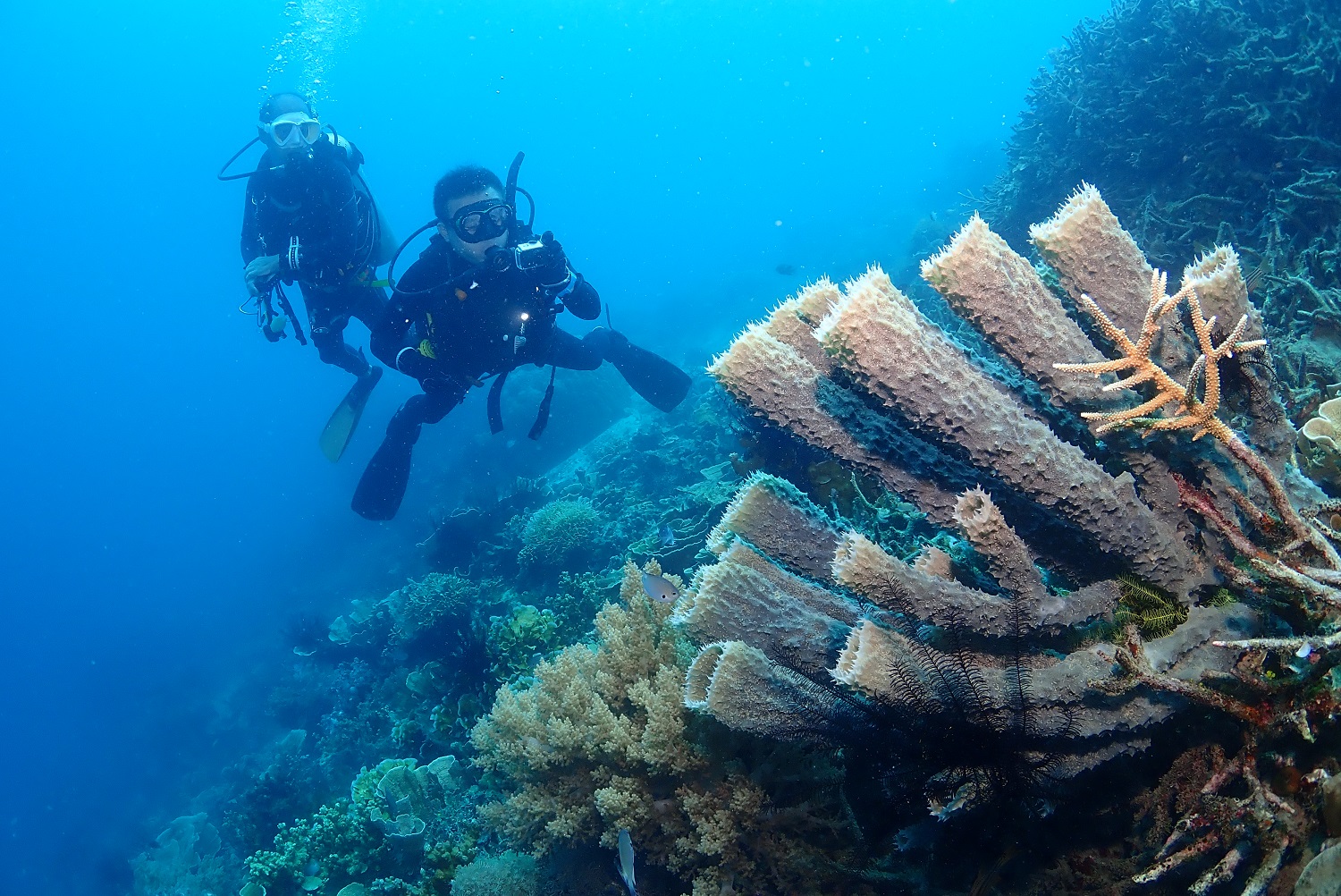 Diving Package - HolidaySG