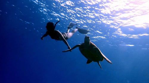 Liuqiu Island Scuba Diving and Snorkeling Experience in Pingtung for 1 hour