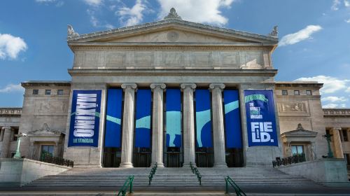 The Field Museum of Natural History: Guided Tour + Early Access + Exhibition