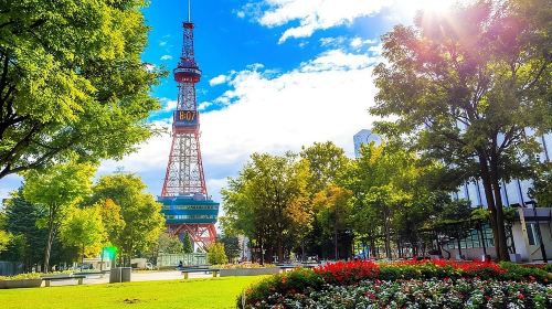 Sapporo 4hr Private Tour with Government Licensed Guide Day Tours - HolidaySG