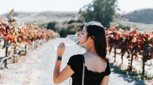 San Francisco Super Saver: Muir Woods & Wine Country w/ optional Gourmet Lunch Day Tours