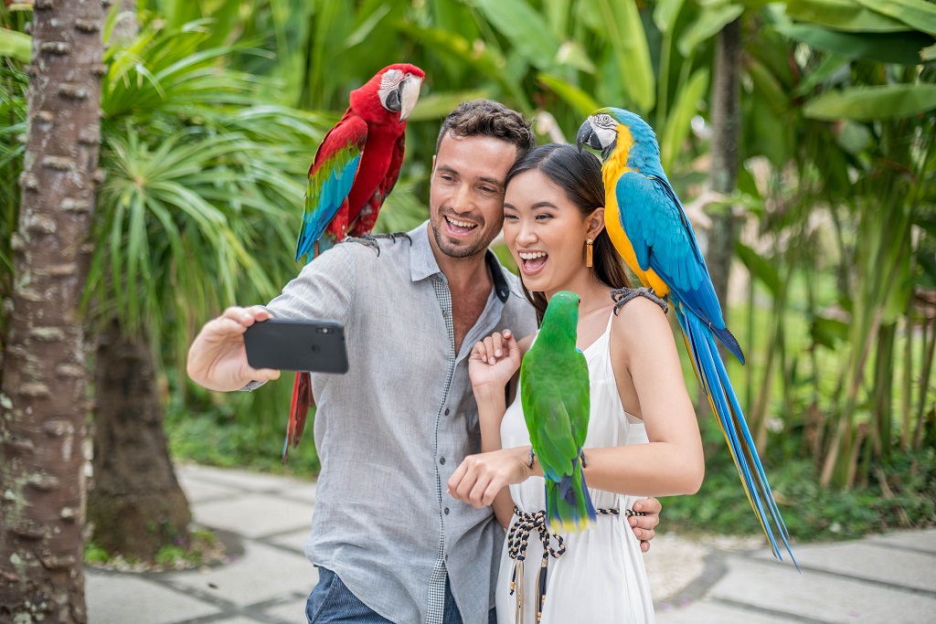 Bali Bird Park - HolidaySG