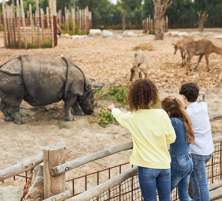 Eindhoven Zoo Entry Ticket