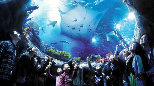 Guangzhou - Hong Kong/Macau Cross-border Transfer Service [Canton Fair/National Games Special Line] Transport Passes