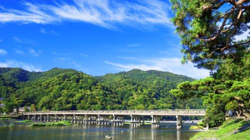 Kyoto Heritage Tour: Arashiyama, Fushimi Inari & Nara Park with Lunch Day Tours