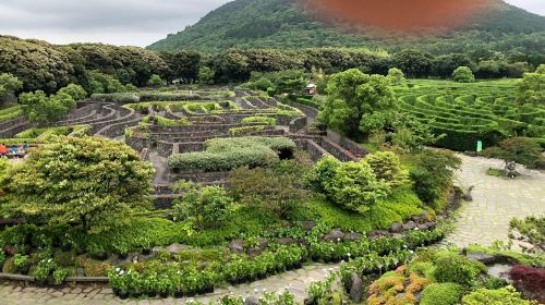 Maze Land