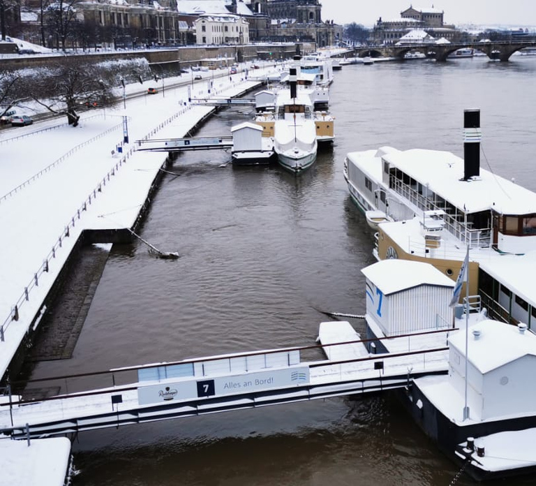 Dresden: Paddle Steamer Winter Cruise to Pillnitz