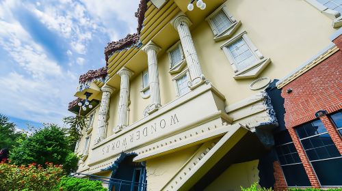 WonderWorks VIP combo attraction and dinner show