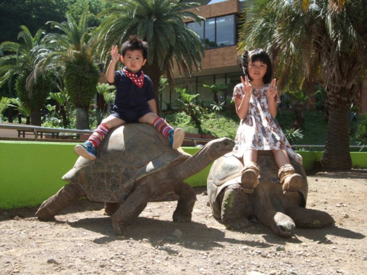 Up to JP¥200 discount | iZoo & KawaZoo Mutual Admission Ticket | Shizuoka, Japan