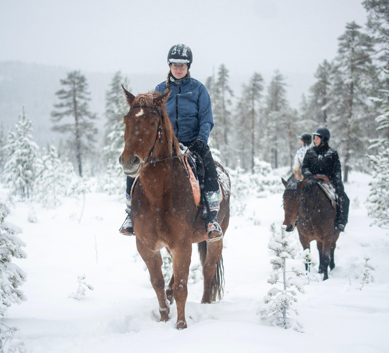 Rovaniemi: Winter Horseback Ride on Snowy Hills and Forests