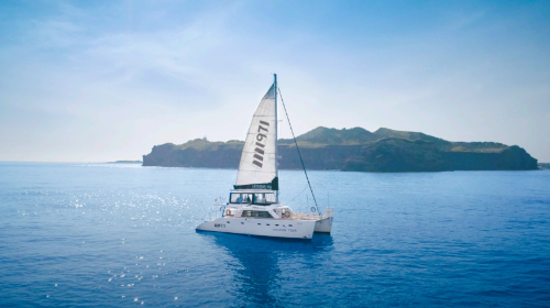 M1971 Yacht Club