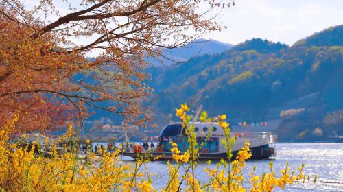Countryside scenery on an Alpaca World, Nami Island and Gangchon Railbike day tour from Seoul