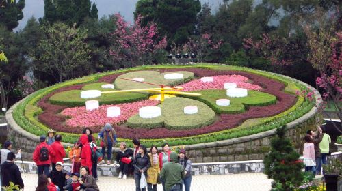 Beitou Geothermal Valley, Yangmingshan Scenic Area, and Yehliu Day Tour (Hotel Pickup) Day Tours