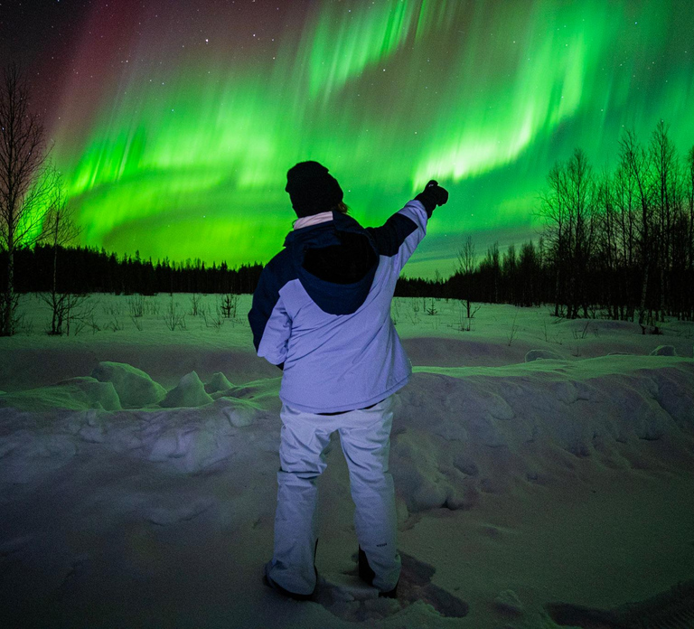 Rovaniemi: Guaranteed Aurora Hunt Group Tour & Photos