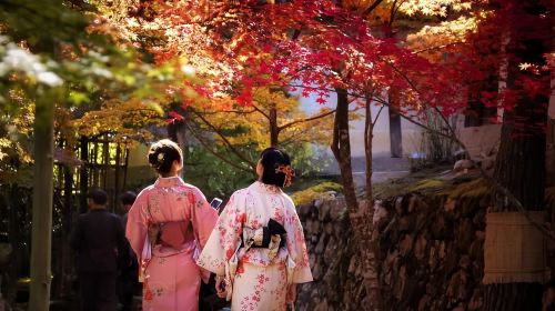 Kyoto Nanzen-ji Temple red maple + Nijō Castle illumination show + Gion + Nishiki Market 1-day tour Day Tours