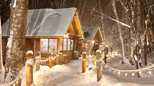 Popular Hokkaido 1-day tour to Asahiyama Zoo + Ningle Terrace + Panoramic Flower Gardens Shikisai-no-oka Day Tours