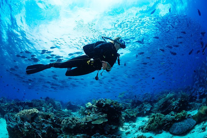 Scuba Diving Tour in Bodrum - HolidaySG