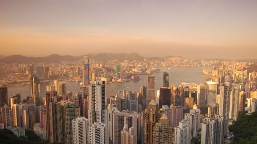 Madame Tussauds Hong Kong Peak Day Trip [Afternoon Tea + Round-trip Peak Tram] Day Tours