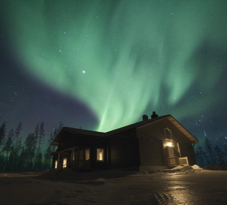 Rovaniemi: New Year's Eve Special Aurora Safari
