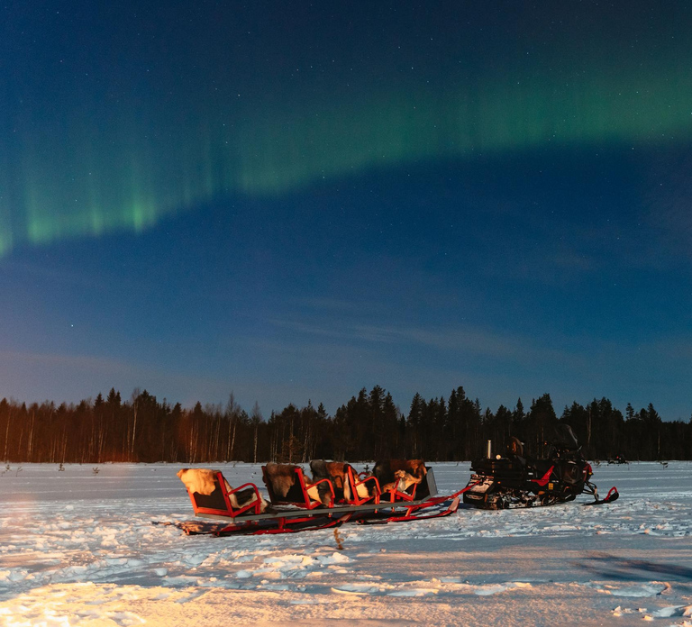 Rovaniemi: Northern Lights Snowmobile Sledge Ride