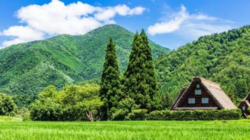 Shirakawago and Gokayama Bus Tour by Nohi Bus Day Tours