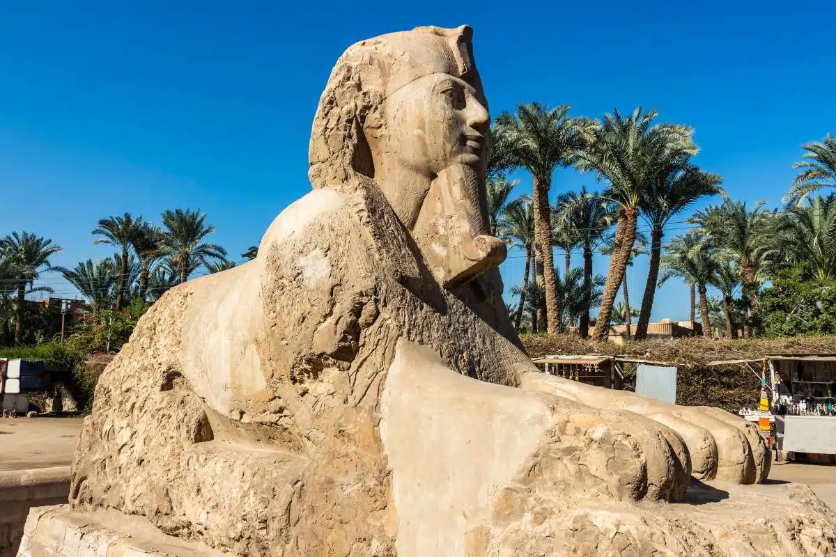 Cairo Saqqara and Memphis Discovery - HolidaySG