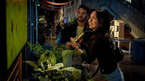 Exploratorium San Francisco: Adult-Only After Dark Admission Day Tours