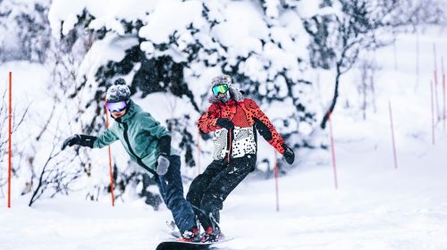 Japan Hokkaido Sapporo Kokusai Ski Resort 1-day tour