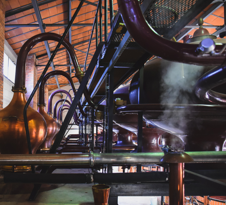 Jarnac: Braastad cognac discovery tour