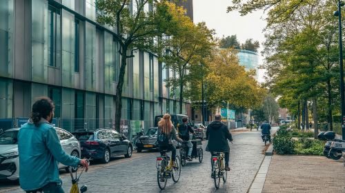Discover Rotterdam: Classic Highlights Bike Tour by a Local Day Tours