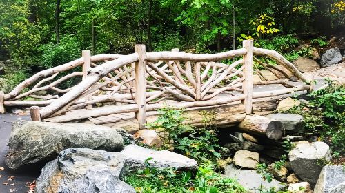 New York City: Secret Places of Central Park Walking Tour Day Tours
