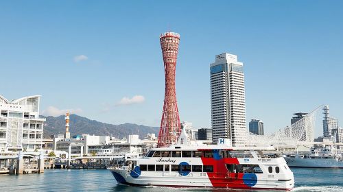 Kobe private tour from Osaka (Shore excursion available from Osaka or Kobe port) Day Tours