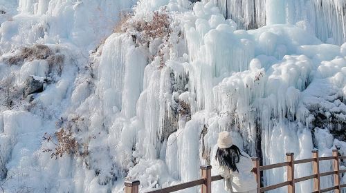 Winter 1-day tour from Seoul: Strawberry picking + Eobi Valley + Sledding experience