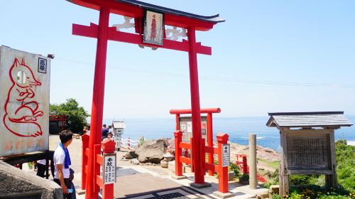 1-day tour of Moji Port, Karato Fish Market, Tsunoshima Bridge, and Motonosumi Shrine in Kitakyushu, Japan Day Tours