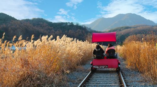 Nami Island X Chuncheon Samaksan Cable Car X Gapyeong Rail Bike Day Tours