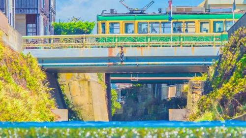 Kotoku-in + Komachi Street + Enoshima + Tsurugaoka Hachimangu one-day tour with free Enoden train experience - HolidaySG