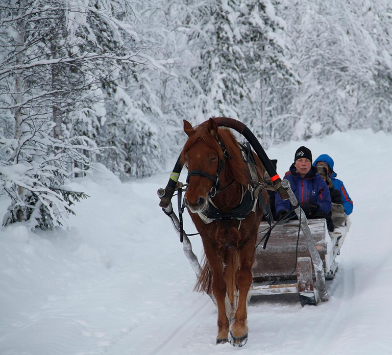 Levi: One Horse Open Sleigh Ride