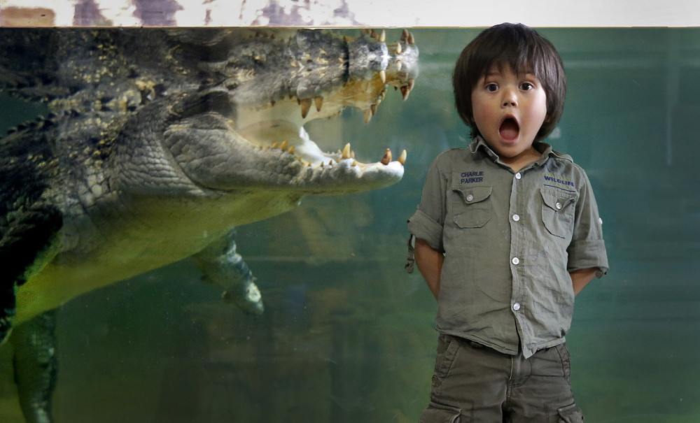 Ballarat Wildlife Park Tickets - HolidaySG