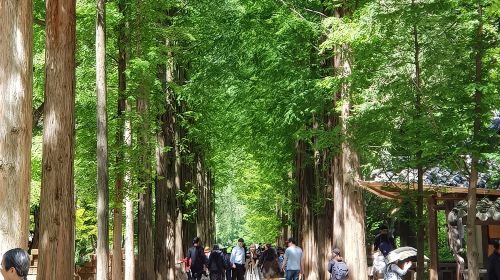 Muslim Tour (Nami Island + Petite France) Day Tours