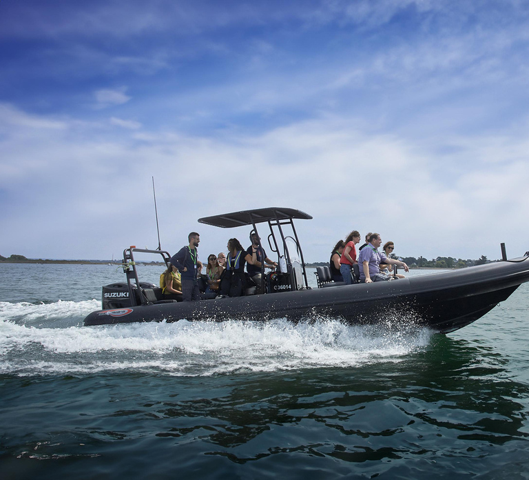 Sea trip Golfe du Morbihan Arzon