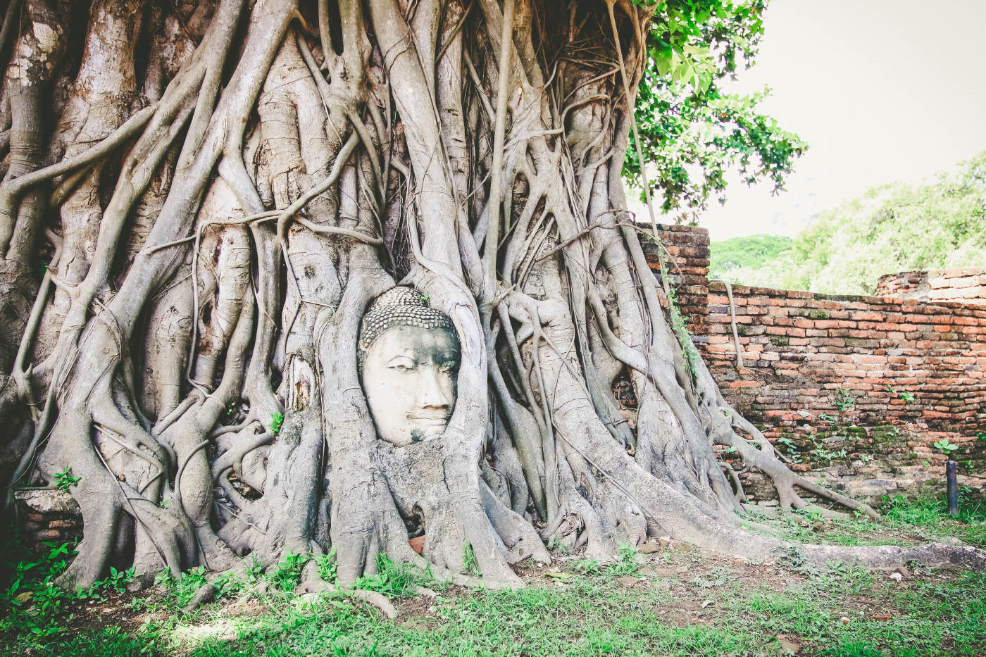 Ayutthaya Grand Pearl River Cruise Tour