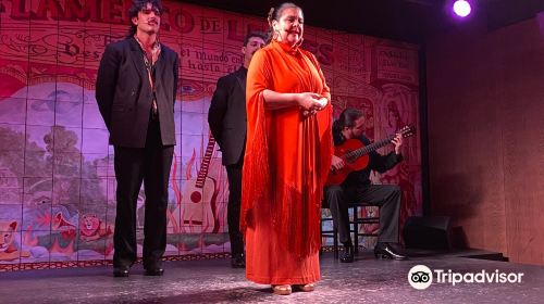 Flamenco de Leones