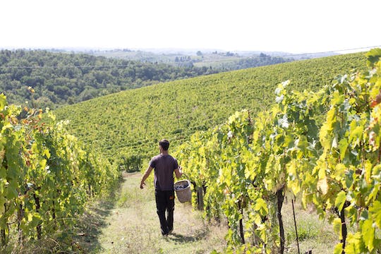 Chianti Winery Tour with 4 Wines Tasting