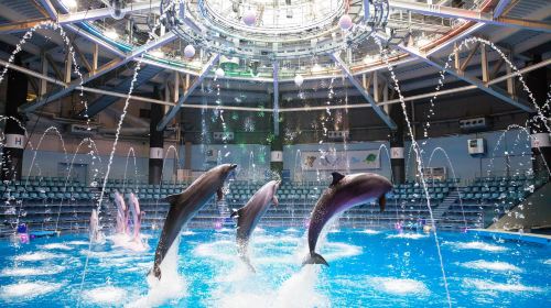 Maxell Aqua Park Shinagawa - HolidaySG