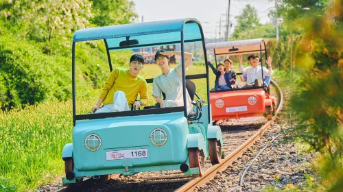 Nami Island one-day tour in South Korea [Alpaca Farm & Rail Bike & Garden of Morning Calm] Day Tours - HolidaySG